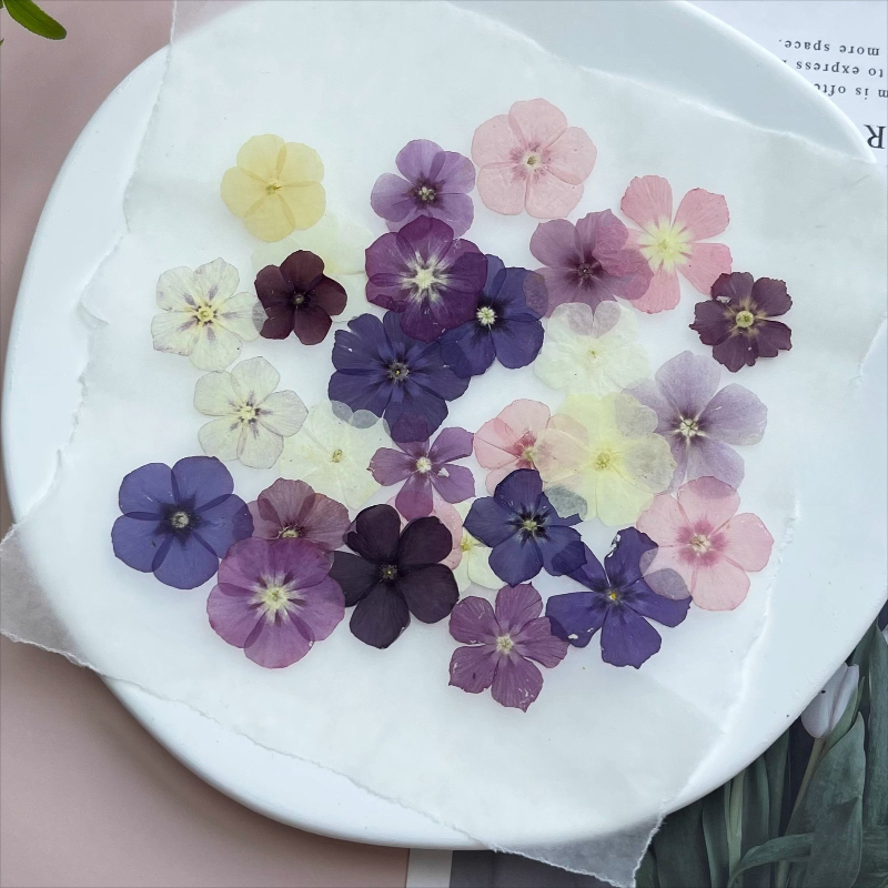 12pcs,Semi-Transparent Niche P - Resin Craft Ideas review and price